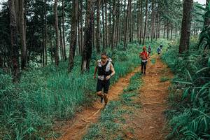 BIB: 
                            <button type="button" onclick="openModal(25657078)" class="btn btn-primary btn-sm float-right btn-popup" data-toggle="modal" data-target=".modal-high-quality">
                        <i class="fas fa-shopping-cart"></i> Add to Cart
                    </button>
                                            <button type="button" onclick="isThisMe(25657078, true)" class="btn btn-success btn-sm float-right btn-popup btn-isme hidden" data-toggle="tooltip" data-placement="bottom" title="นี่คือรูปของคุณใช่ไหม คลิกที่นี่เพื่อเอาเข้าอัลบั้ม">
                        <i class="fas fa-plus"></i> Add to album
                    </button>
                    <button type="button" onclick="isThisMe(25657078, false)" class="btn btn-warning btn-sm float-right btn-popup btn-isnotme hidden">
                        <i class="fas fa-ban"></i> Remove from album
                    </button>